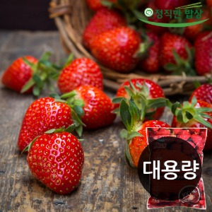 냉동 국내산 딸기 1kg x 5개 (무료배송)